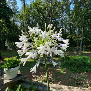 Meet your Posher, Cris